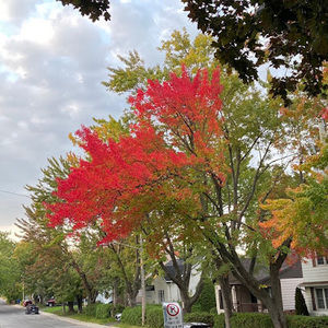 Meet your Posher, Léa